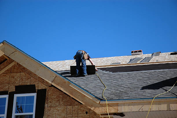Best Roof Gutter Cleaning  in Westminster, TX