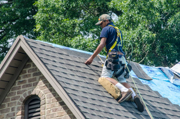 Roof Gutter Cleaning in Westminster, TX